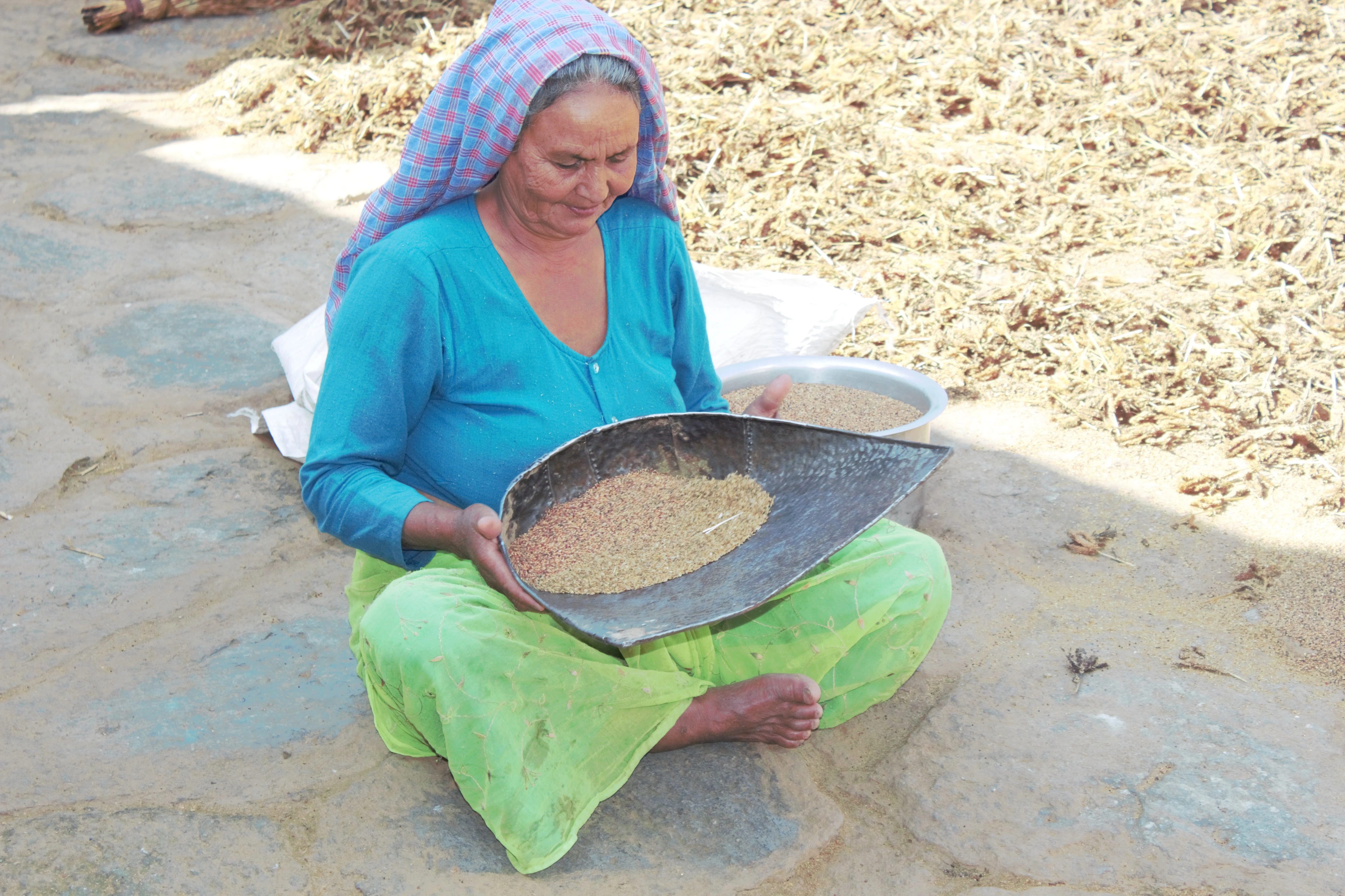 Sustainable Livelihoods & Rural Development